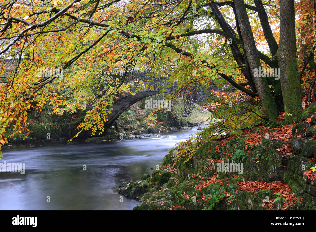 Brücke über den Fluß Brathay, Ambleside, Herbst, Lake District Stockfoto