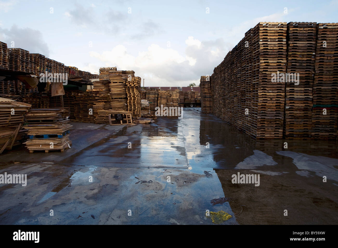 Stapeln von Holz-Paletten Stockfoto