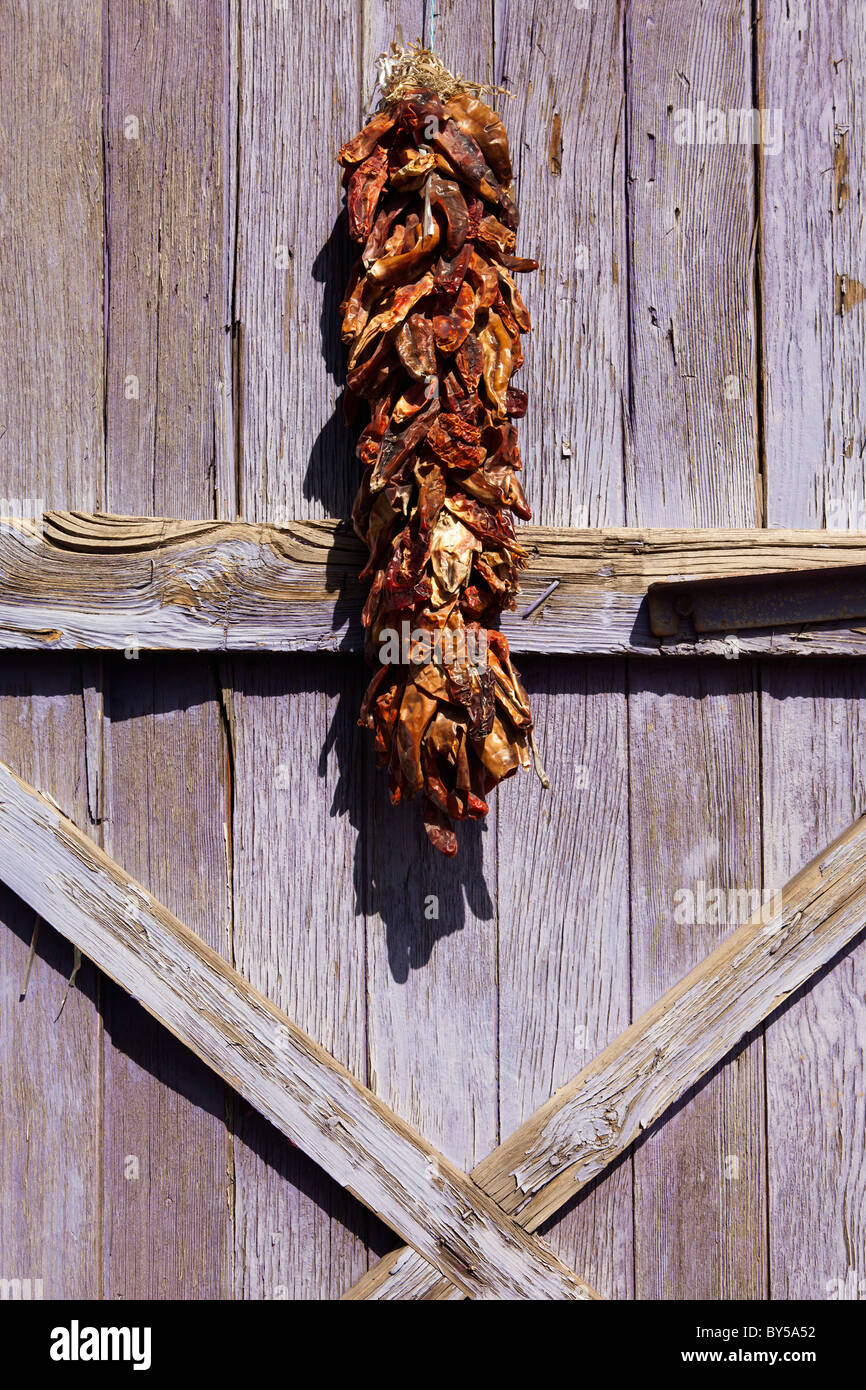 Eine Reihe von Chili Peppers hängen zum Trocknen Stockfoto