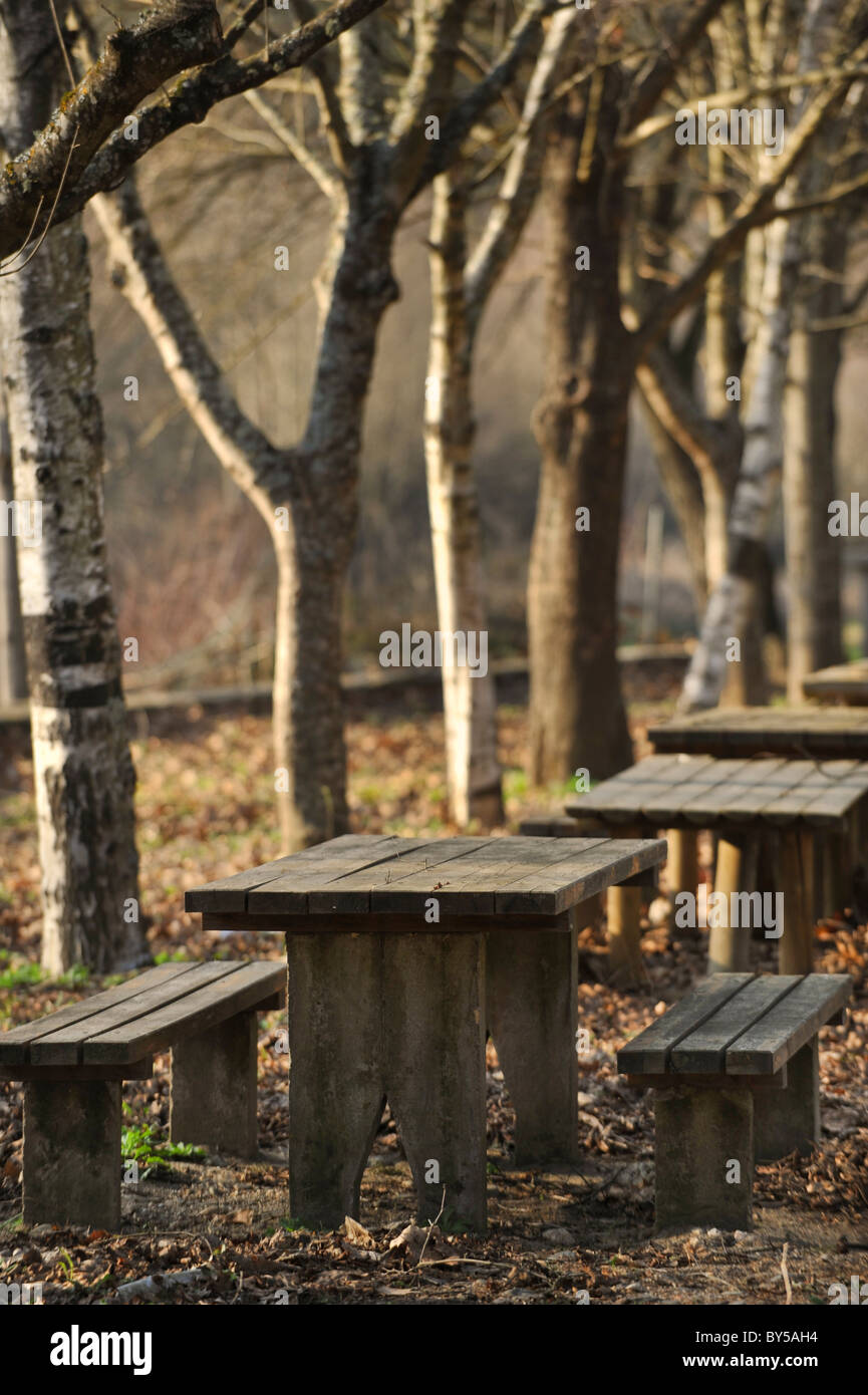 Leere Picknick-Tische im Winter Stockfoto