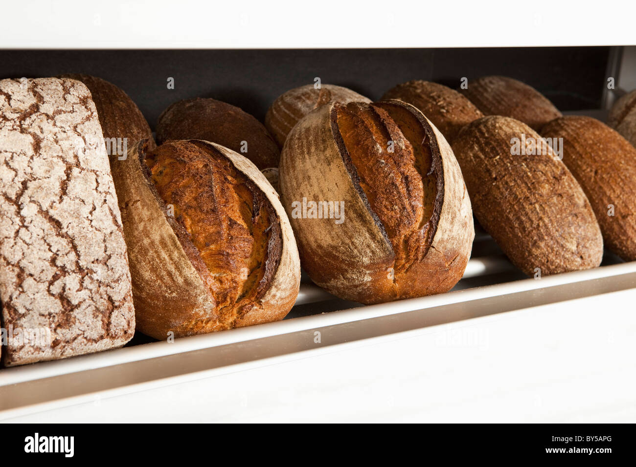 Brote in einer Bäckerei Stockfoto