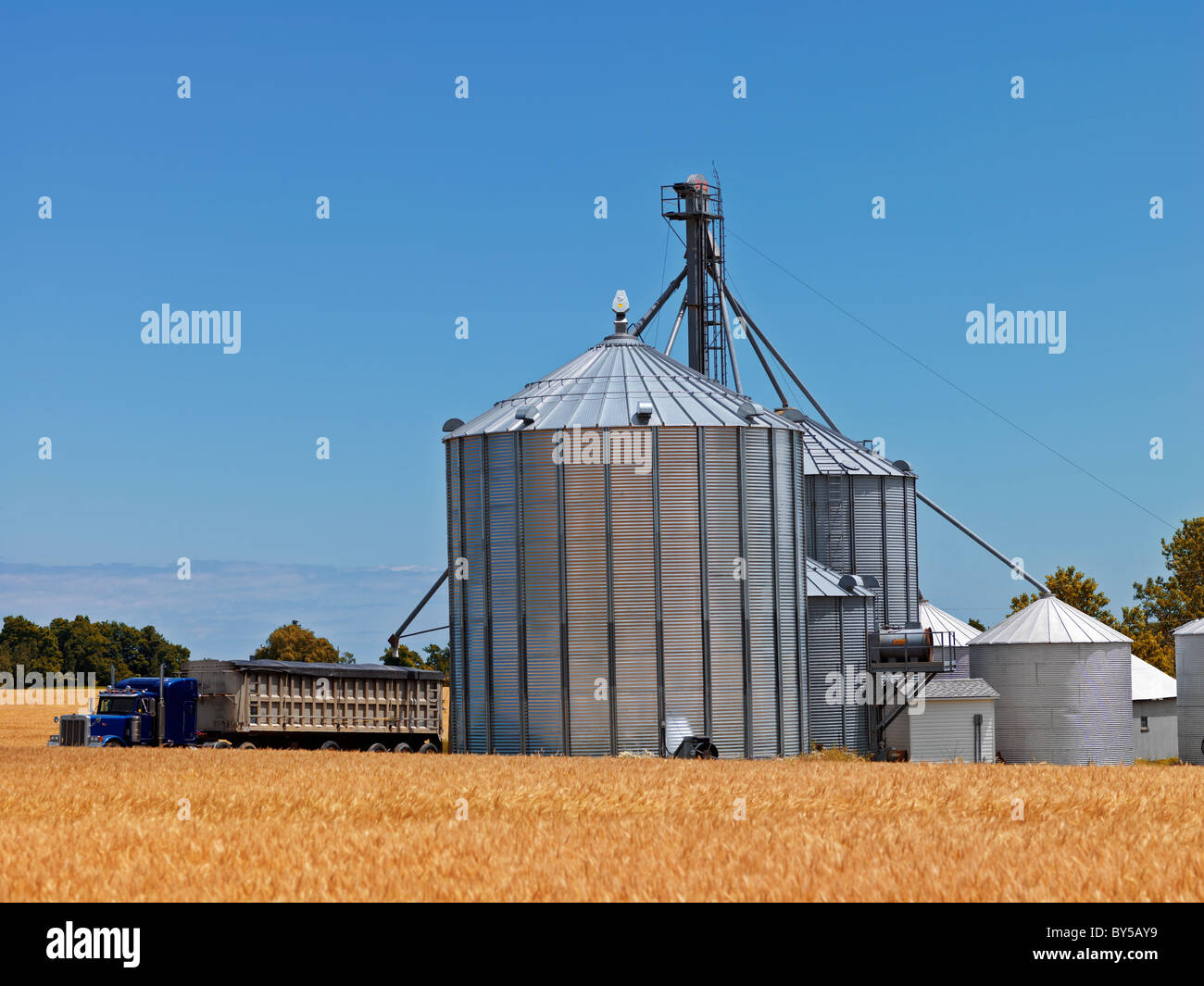 Kanada, Ontario, Vineland, Getreidesilos und Weizenfeld mit Transportwagen Stockfoto
