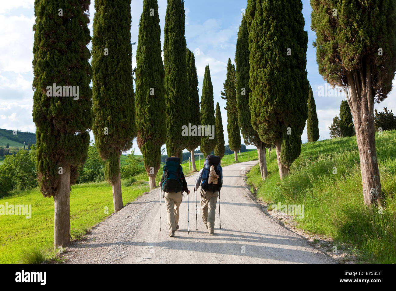 Kurvenreiche Straße, nr Pienza, Toskana, Italien Stockfoto