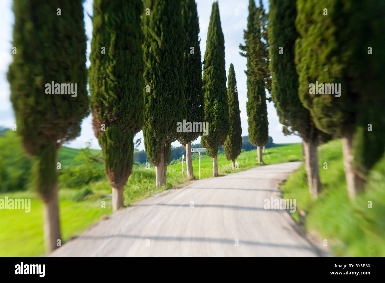 Kurvenreiche Straße, nr Pienza, Toskana, Italien Stockfoto