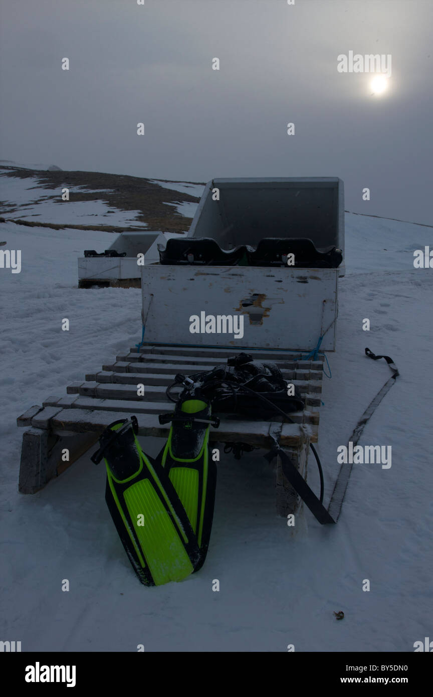 Kanadische Arktis Tauchen auf der Eisscholle Rand Pond Inlet, Baffininsel, Nunavut, Kanada Stockfoto