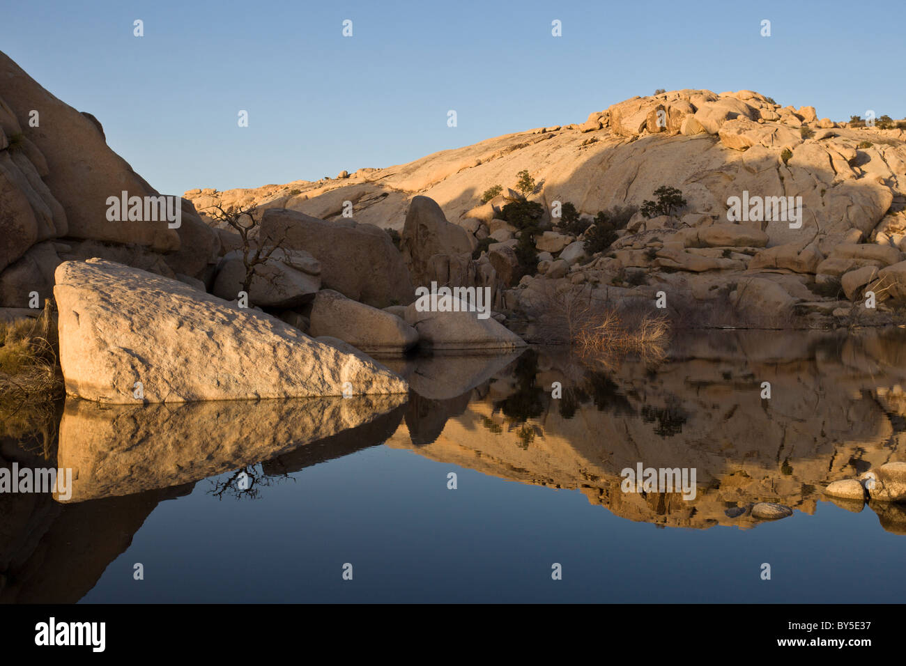 Felsformationen, reflektiert in den Stausee am Barker Dam oder Big Horn Dam in Joshua Tree Nationalpark, Kalifornien, USA. Stockfoto