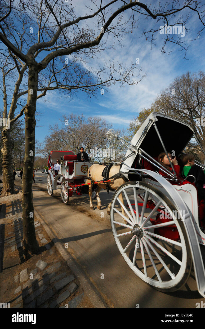 Pferdekutsche, Central Park, Wagen. Stockfoto