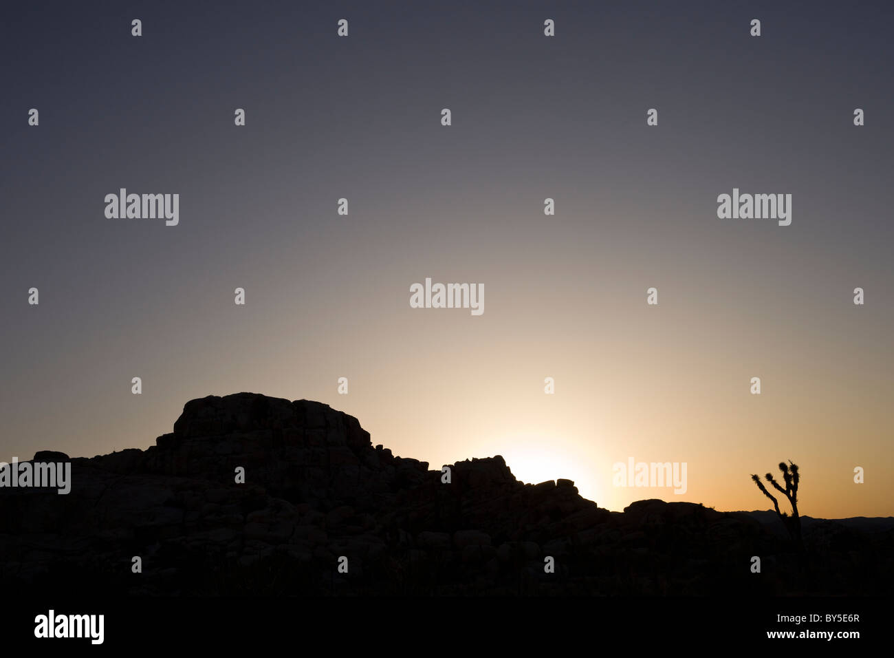 Berge und einsame Joshua Tree (Yucca Brevifolia) Silhouette bei Sonnenuntergang im Joshua Tree National Park Stockfoto