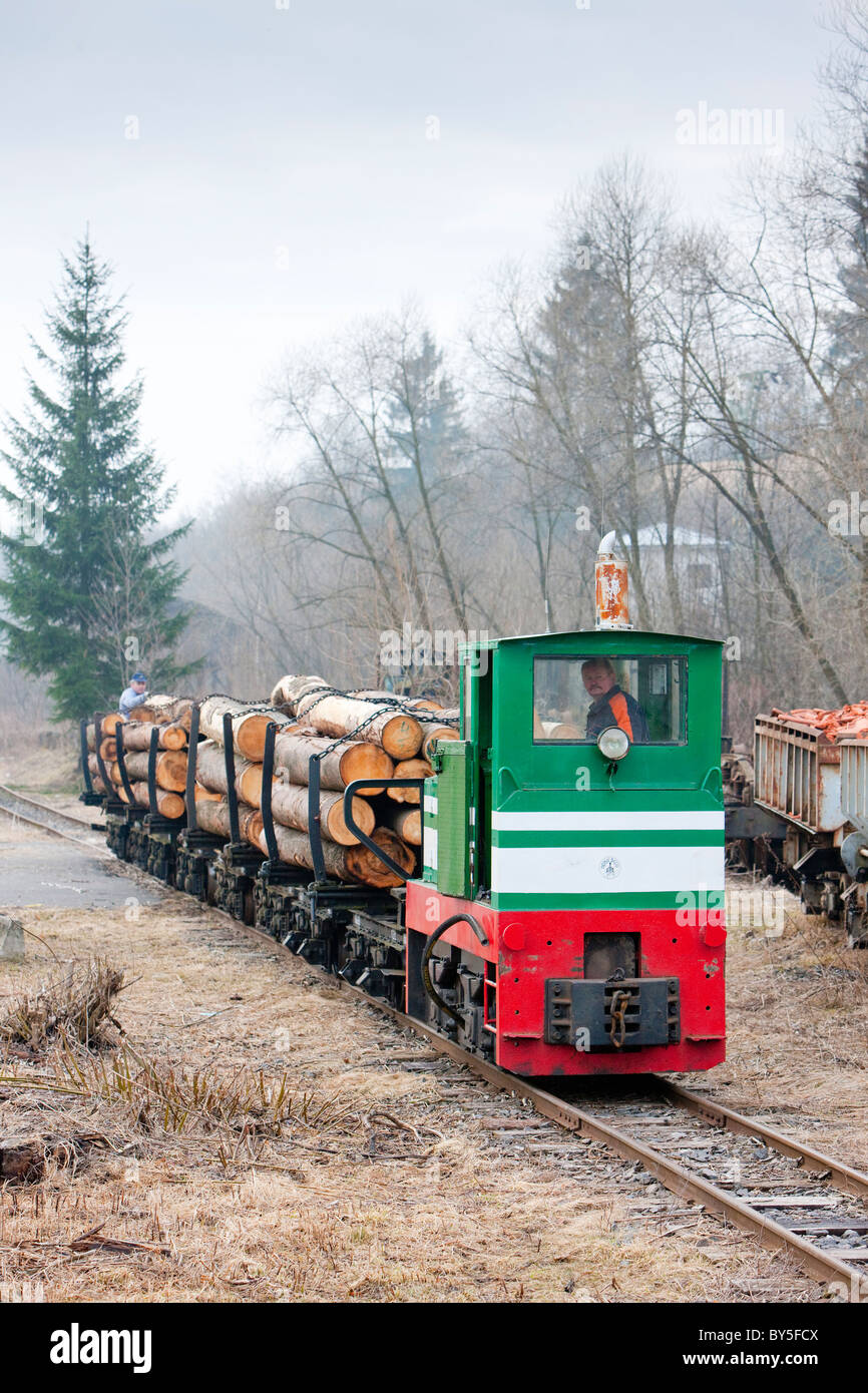 Güterzug mit Lok, Motor Ciernohronska Eisenbahn, Slowakei Stockfoto