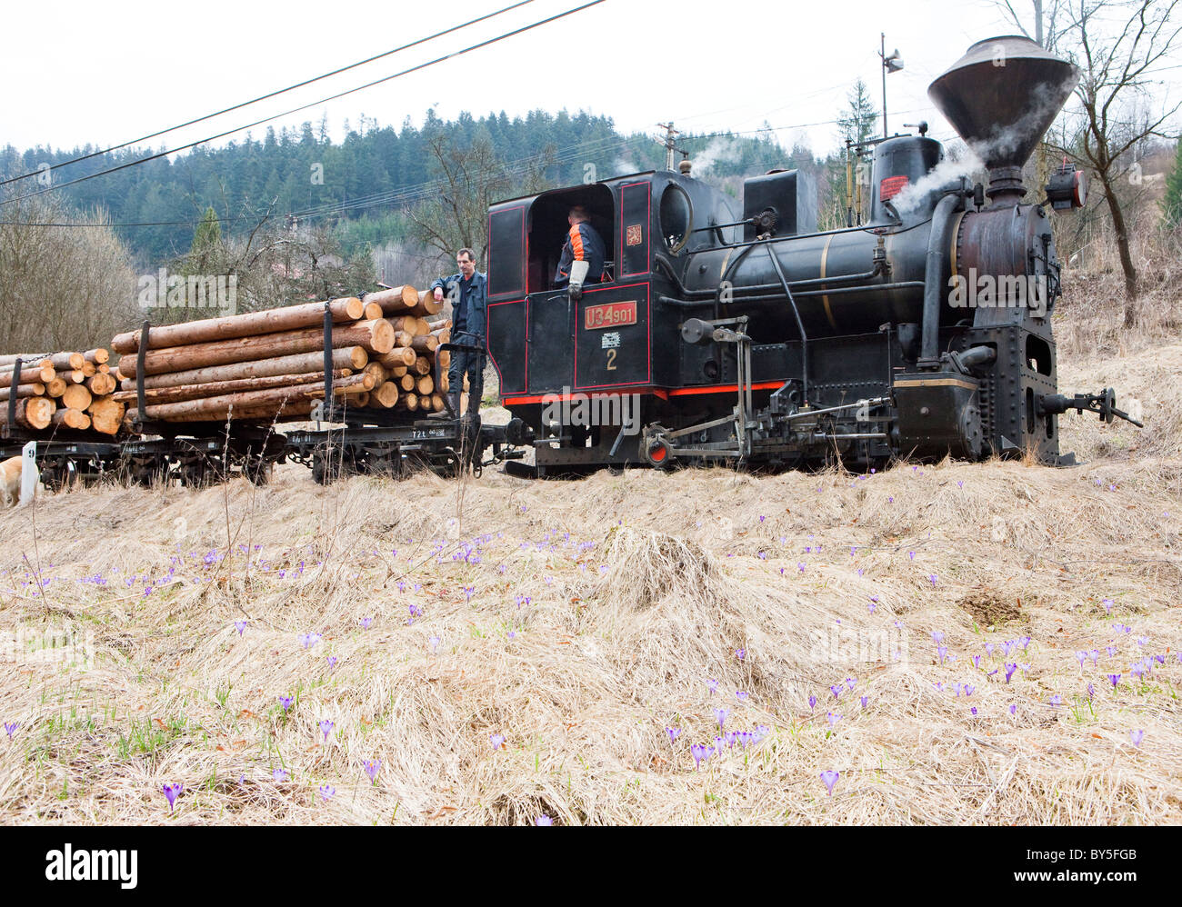 Dampfzug, Ciernohronska Eisenbahn, Slowakei Stockfoto