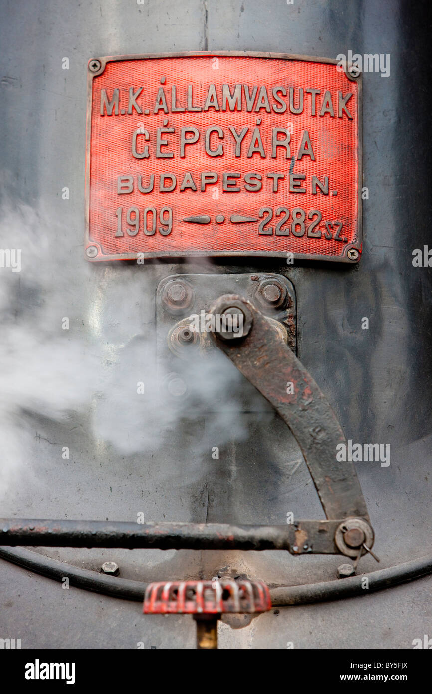 Detail-Dampflokomotive, Ciernohronska Eisenbahn, Slowakei Stockfoto