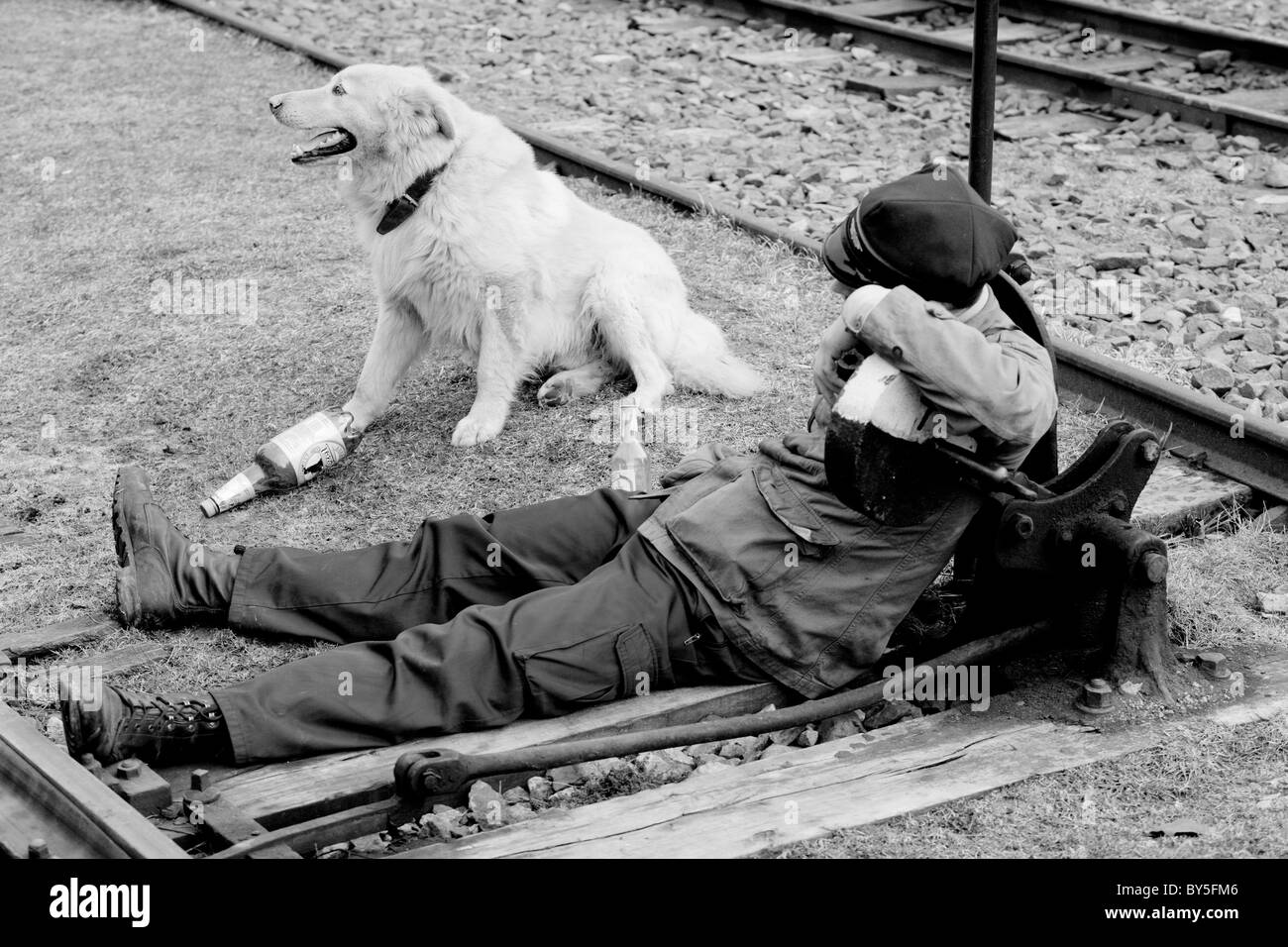Mann, sitzend mit einem Hund am Schalter, Ciernohronska Eisenbahn, Slowakei Stockfoto