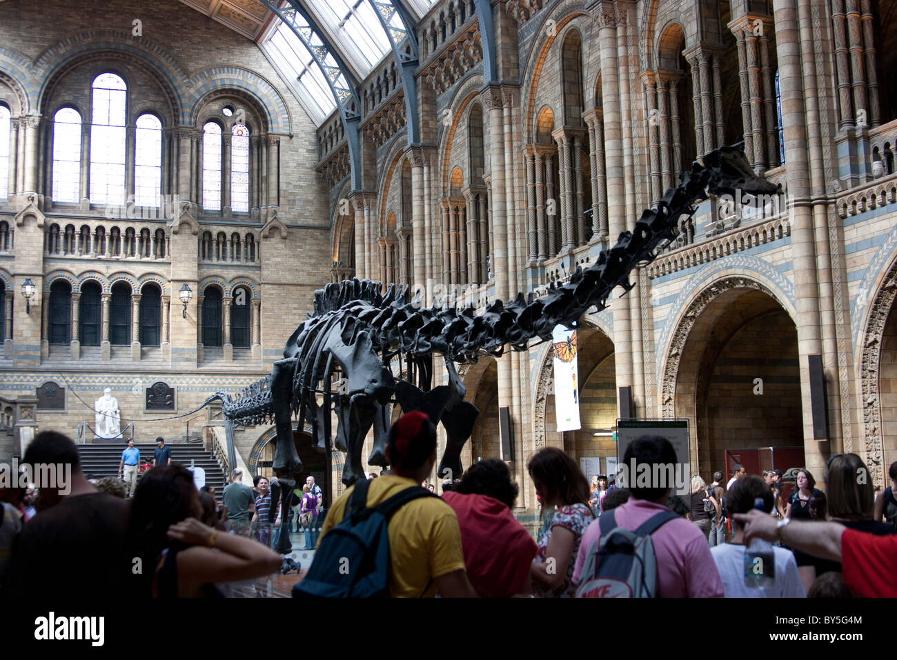 Besucher betrachten Besetzung von Diplodocus Dinosaurier-Skelett in der Natural History Museum, London Stockfoto