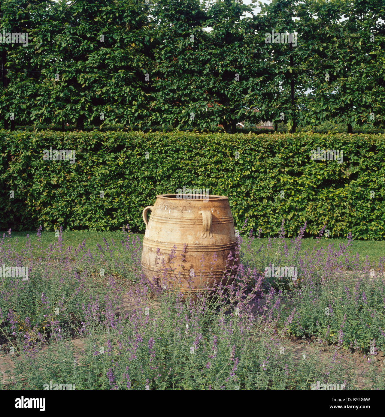 Große Terrakotta Urn im Bauerngarten Stockfoto