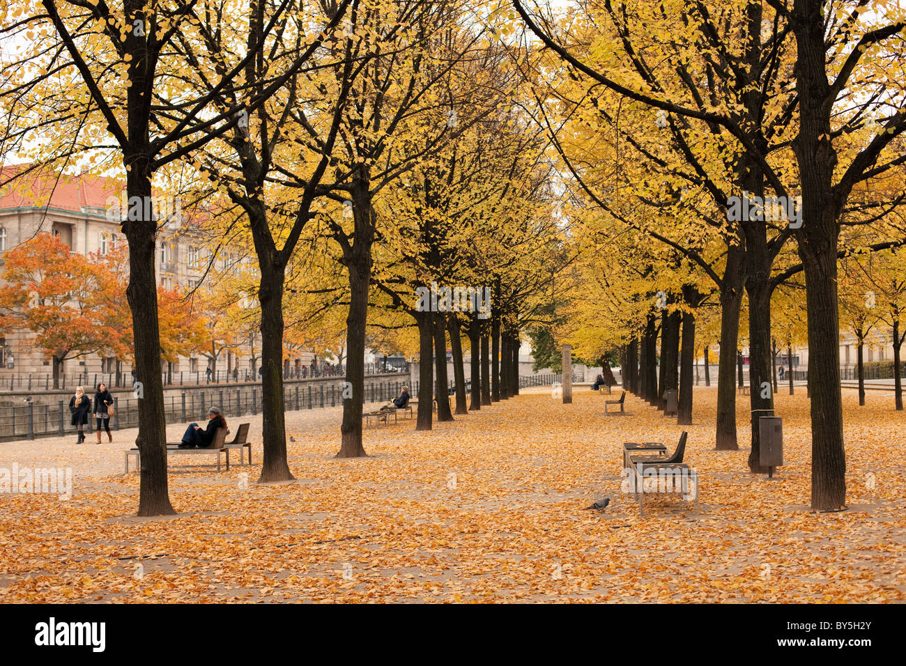 Deutschland, Berlin, Museumsinsel, Lustgarten, Parken im Herbst Stockfoto