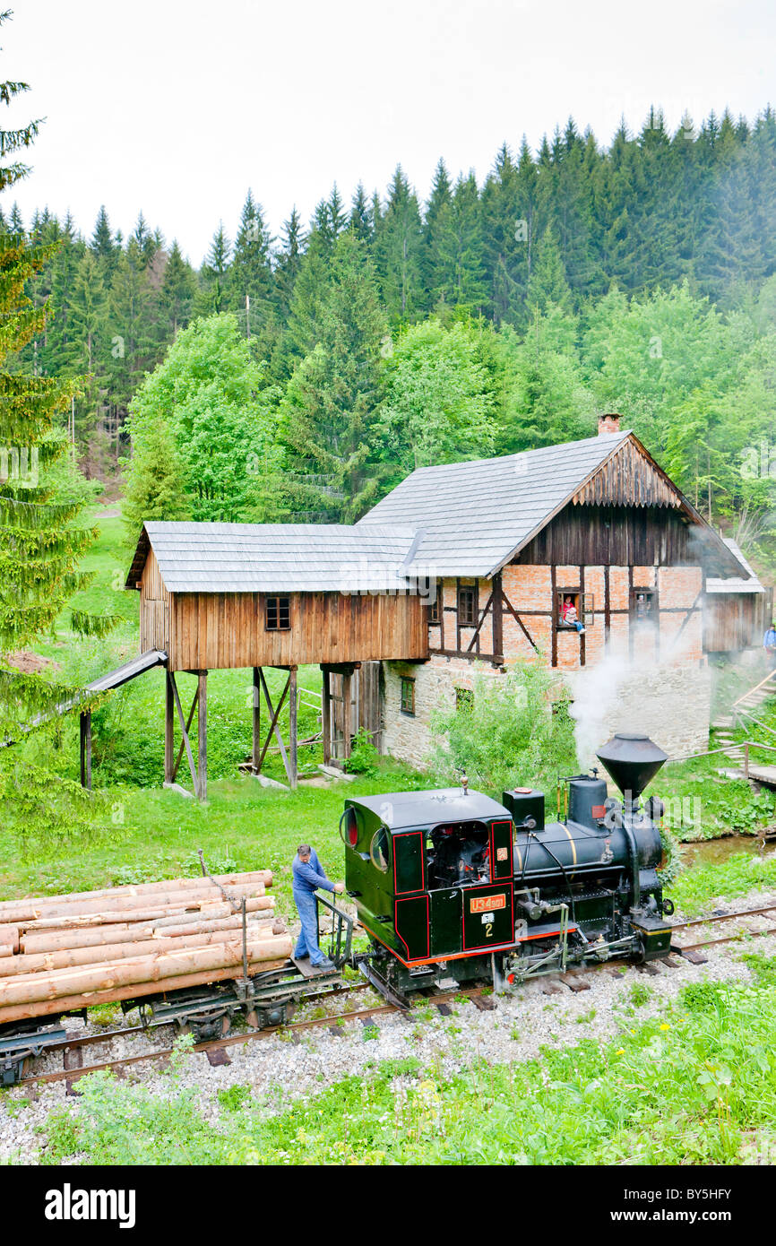 Dampfzug und alten Sägewerk, Museum Kysuce Dorf, Vychylovka, Slowakei Stockfoto