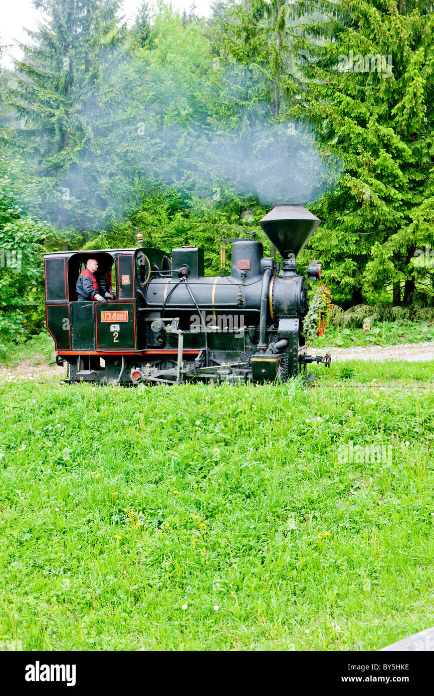 Dampf-Lokomotive, Museum Kysuce Dorf, Vychylovka, Slowakei Stockfoto