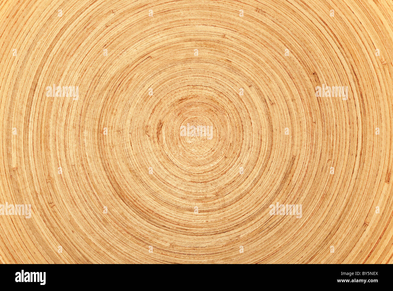 Kreisförmige Holzstruktur oder Hintergrund. Stockfoto