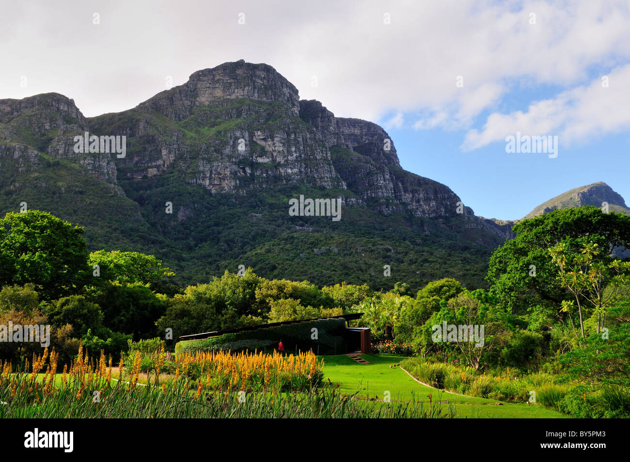 Berge über Kirstenbosch National Botanical Garden. Cape Town, Südafrika. Stockfoto