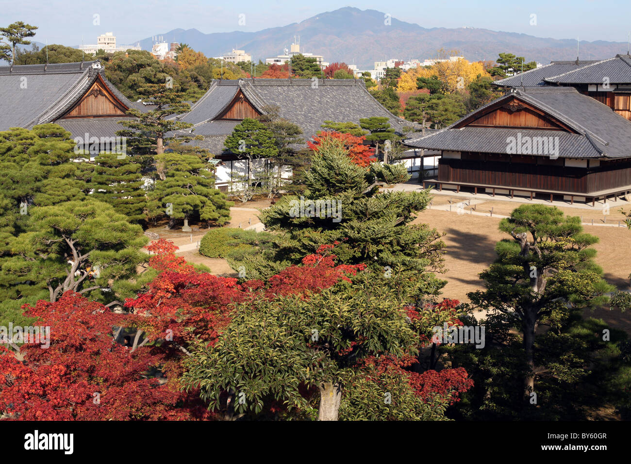 Garten im Inneren Nijo-Jo Burg, Kyoto, zentralen Honshu, Japan. Stockfoto