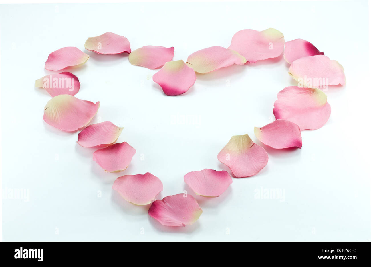 Rosenblätter in Herzform Stockfoto