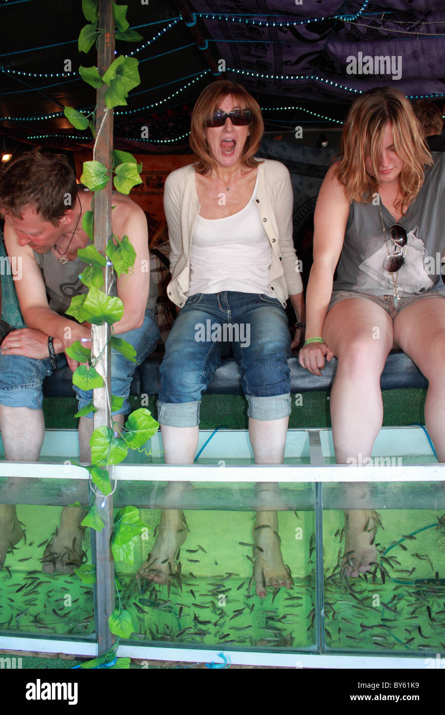 Fisch-Therapie Stand auf Guilfest 2010-Musik-Festival. "Herr Doktor" Fisch (Garra Rufa) als ein Peeling für Füße benutzt. Stockfoto