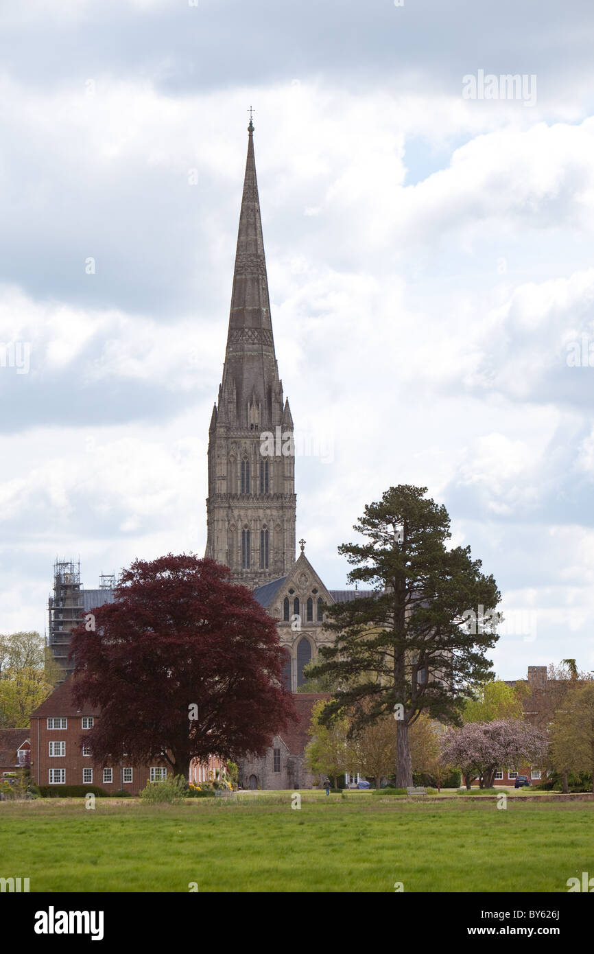 Die Kathedrale von Salisbury Harnham Auen Stockfoto