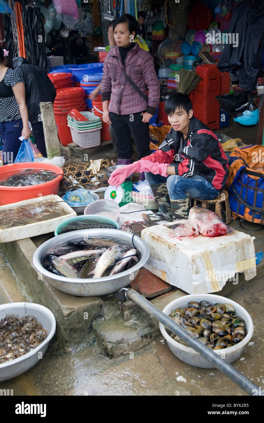 Fisch in einem Markt zu verkaufen. Sapa, Provinz Lao Cai, Vietnam. Stockfoto