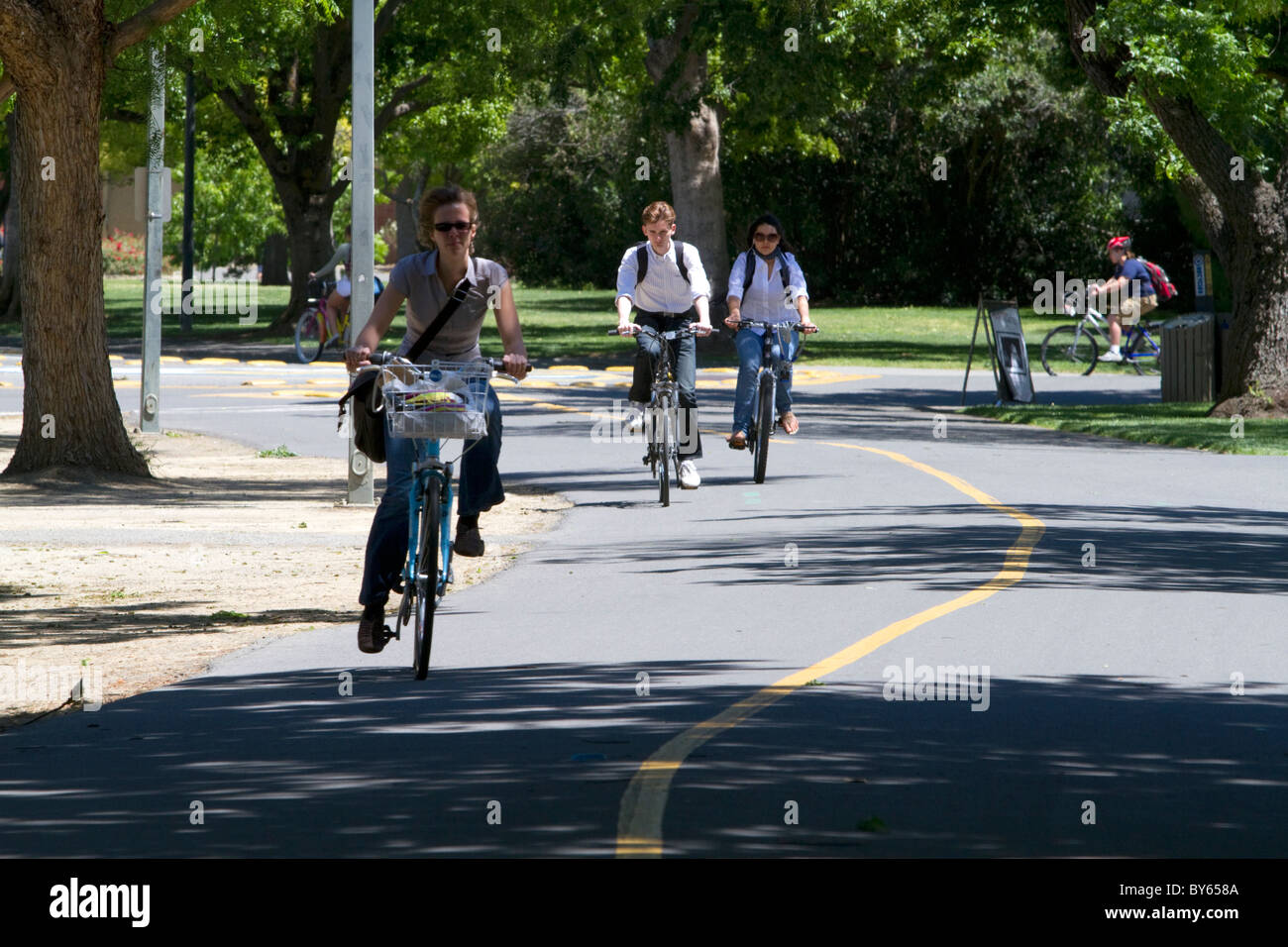 Nur-Fahrrad-Wege auf dem Campus der UC Davis, California, USA. Stockfoto