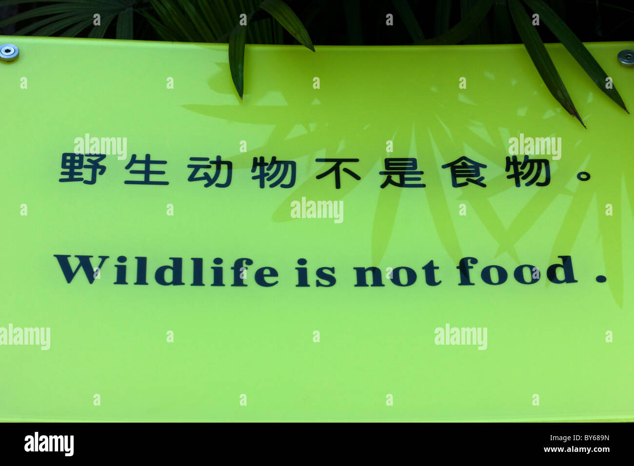"Wildlife ist nicht essen" Zeichen in Chinesisch und Englisch an der Chengdu Research Base of Giant Panda Breeding, China. JMH4405 Stockfoto