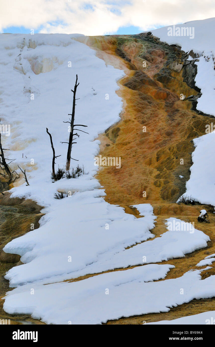 Bunte Travertin auf der Palette Spring. Mammoth Hot Springs, Yellowstone-Nationalpark, Wyoming, USA. Stockfoto