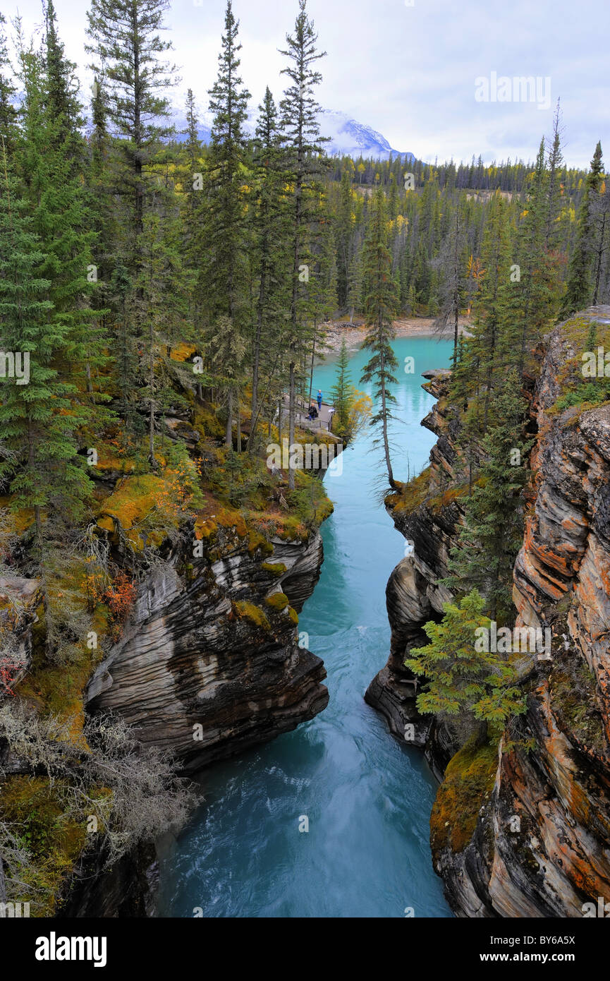 Downstream-Ansicht von Athabasca Falls, Alberta, Kanada Stockfoto