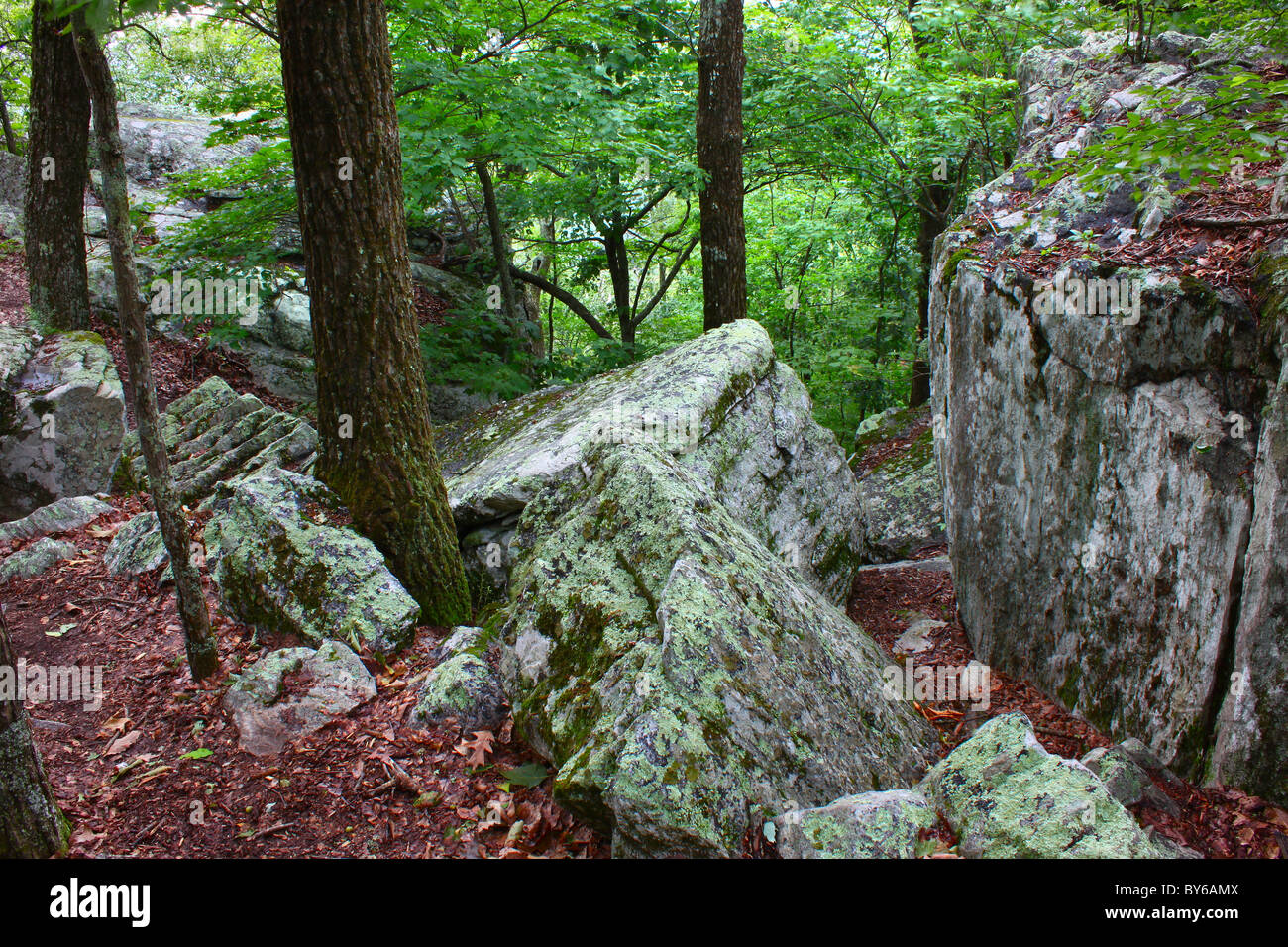 Cheaha State Park - Alabama Stockfoto