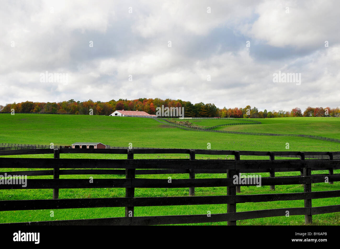 Eine Pferderanch in Saratoga County, New York. Stockfoto