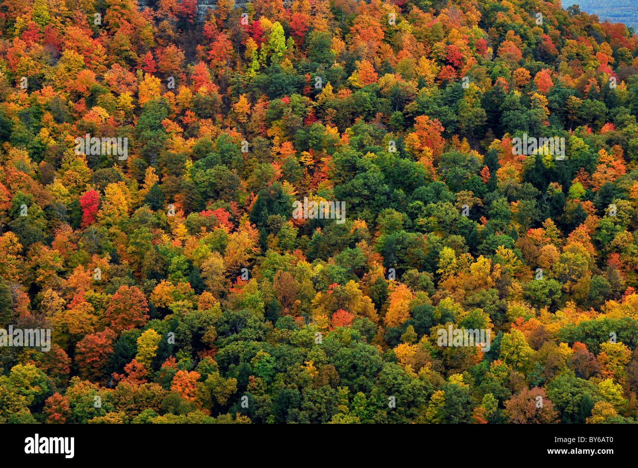 Farben des Herbstes im Bundesstaat New York Stockfoto