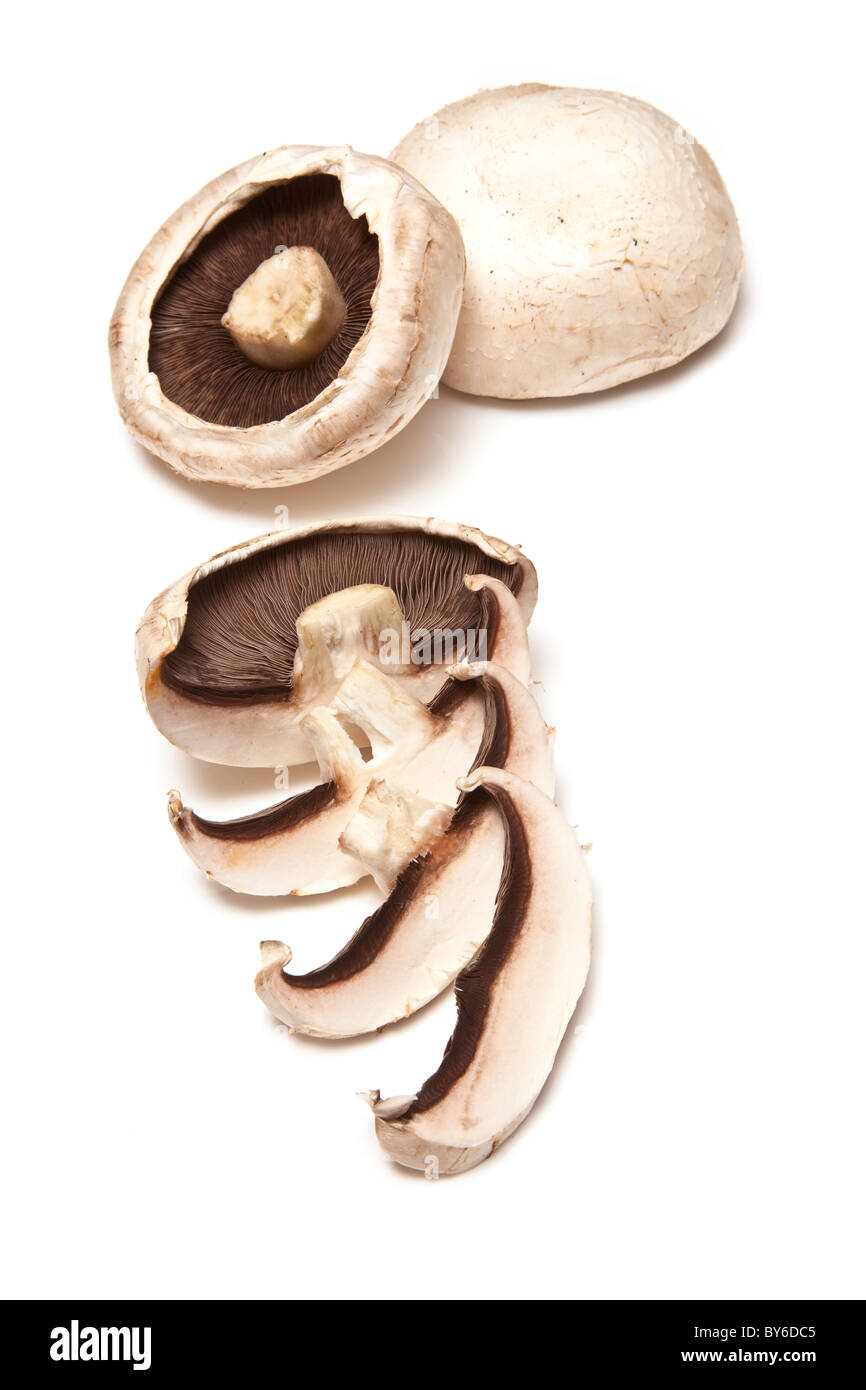 Weiße Champignons isolieren Studio auf einem weißen Hintergrund. Stockfoto