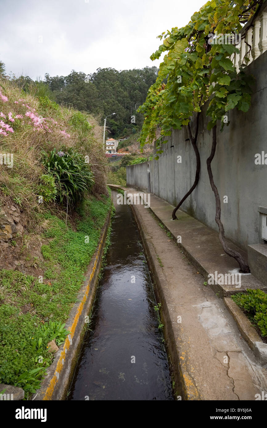 Levada oder Bewässerungskanal auf Madeira Stockfoto