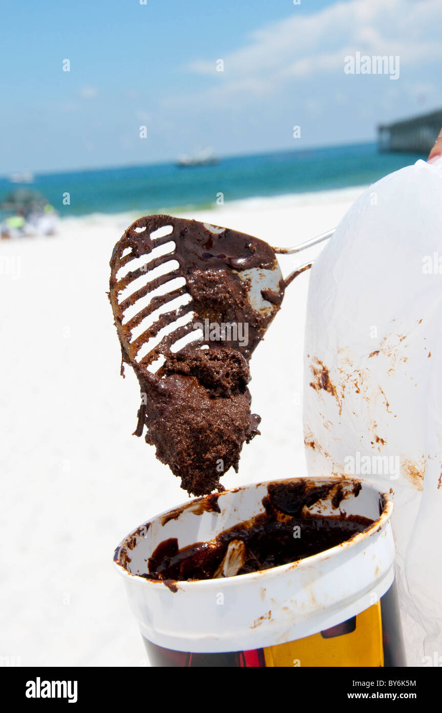 Ölgetränkte Sand hinterlegt wird in einer Tasse auf Pensacola Beach Stockfoto