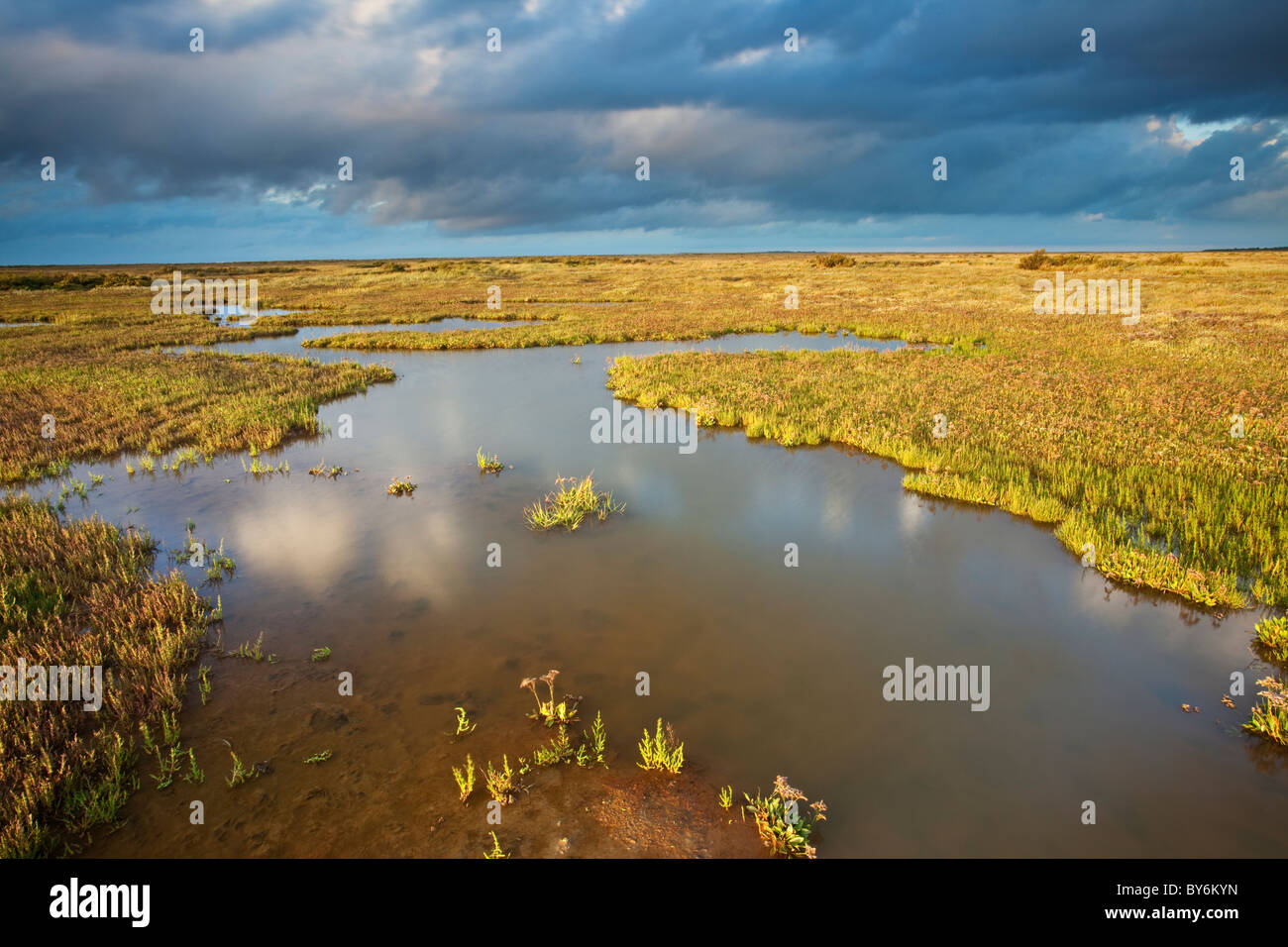 Toynbee Salzwiesen nach einem vorbeifahrenden Sturm an der Küste von North Norfolk Stockfoto