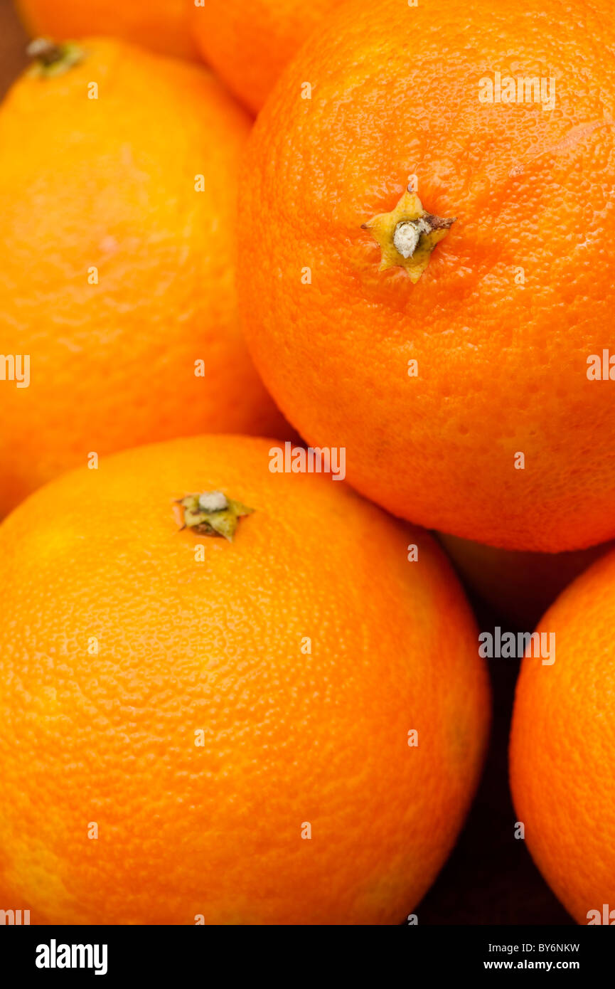 Nahaufnahme von Clementinen, Citrus reticulata Stockfoto