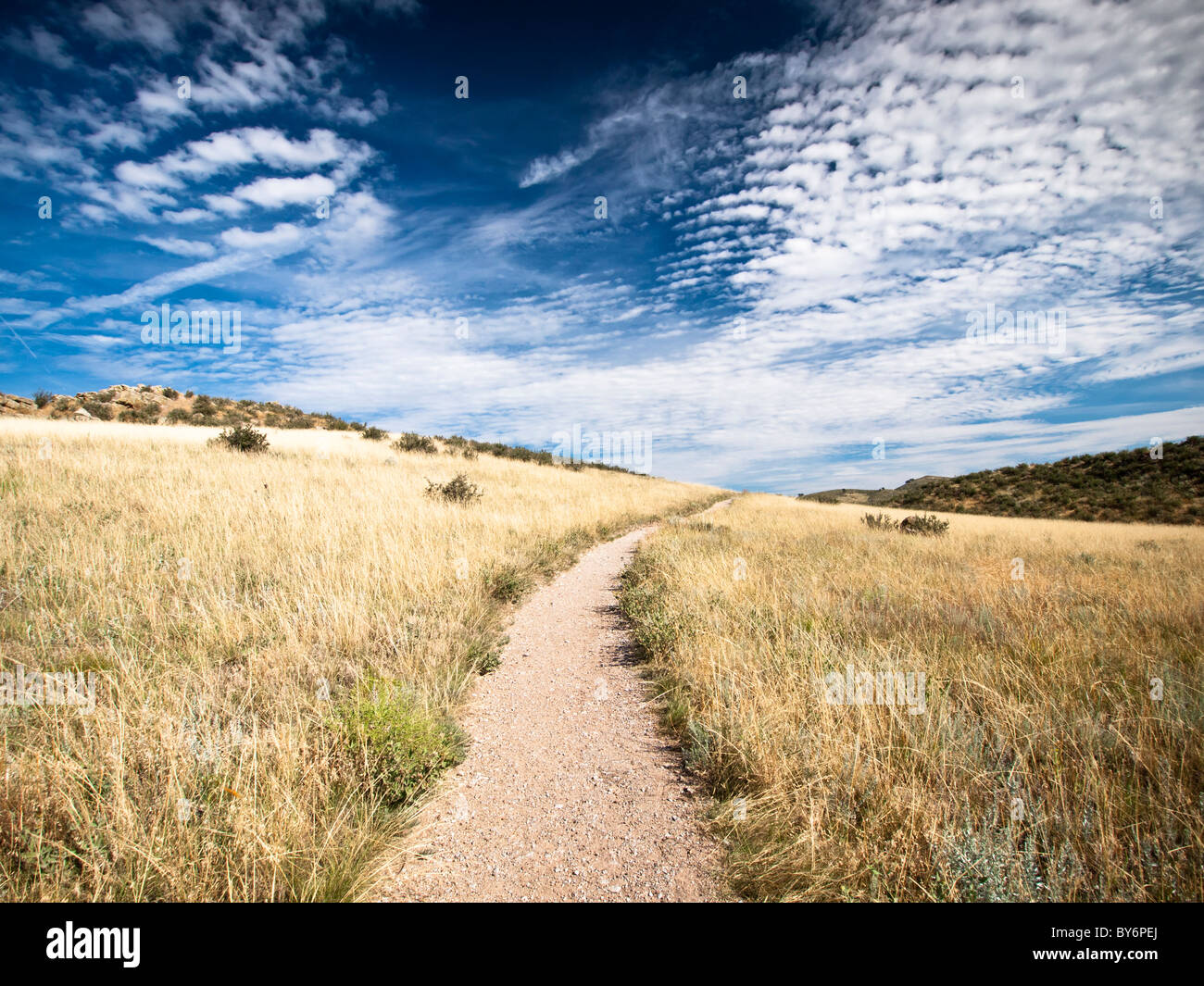 Im Devils Backbone Park, Loveland Colorado Trail Stockfoto