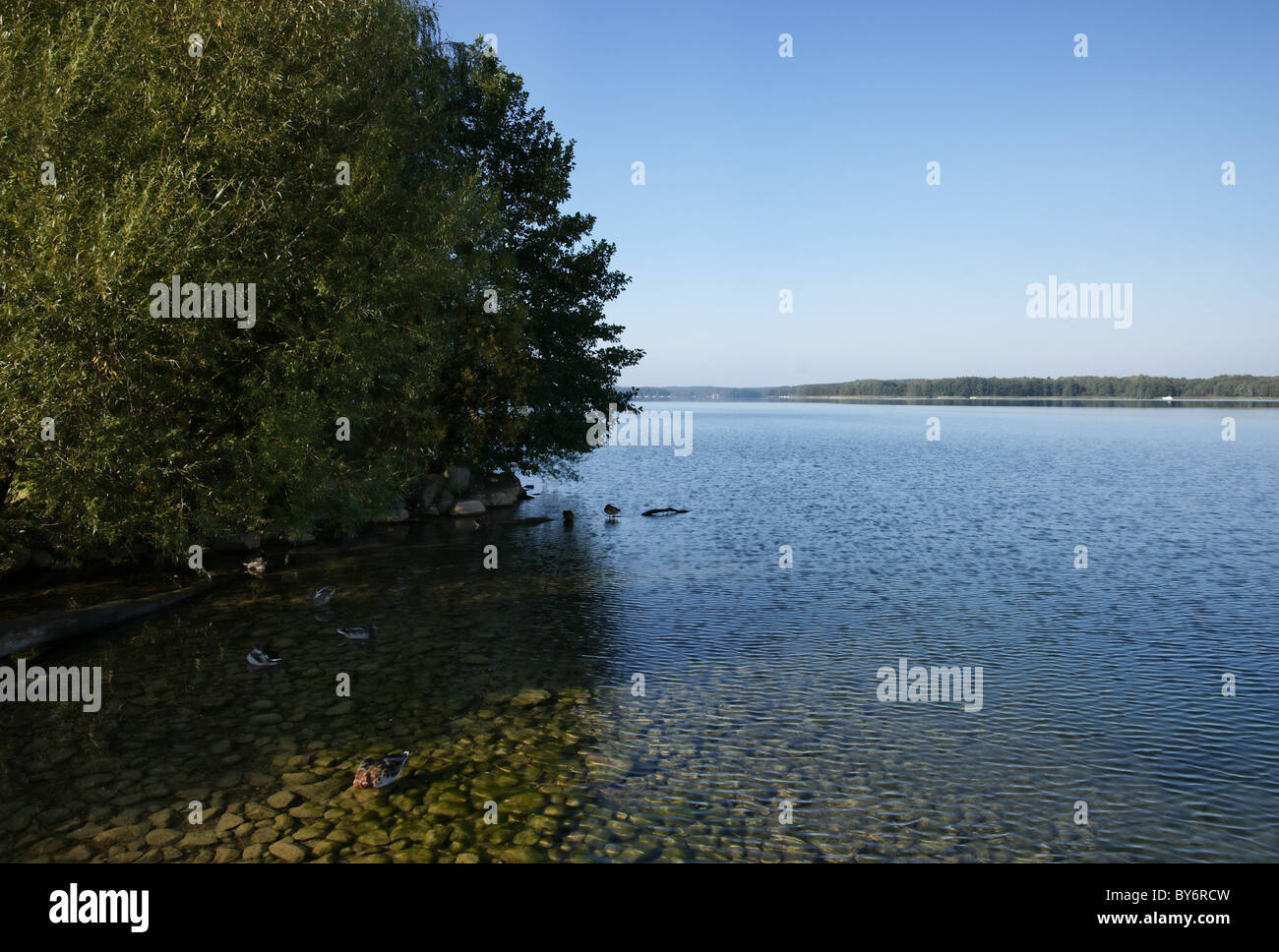 Lake Werbellinsee, Joachimsthal, Land Brandenburg, Deutschland Stockfoto