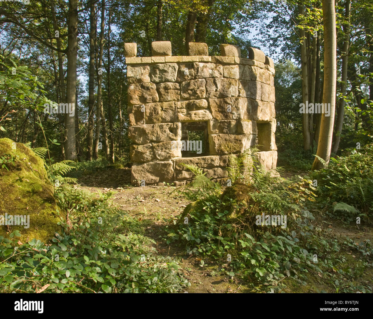 Torheit in Molag Wäldern, North Yorkshire Stockfoto