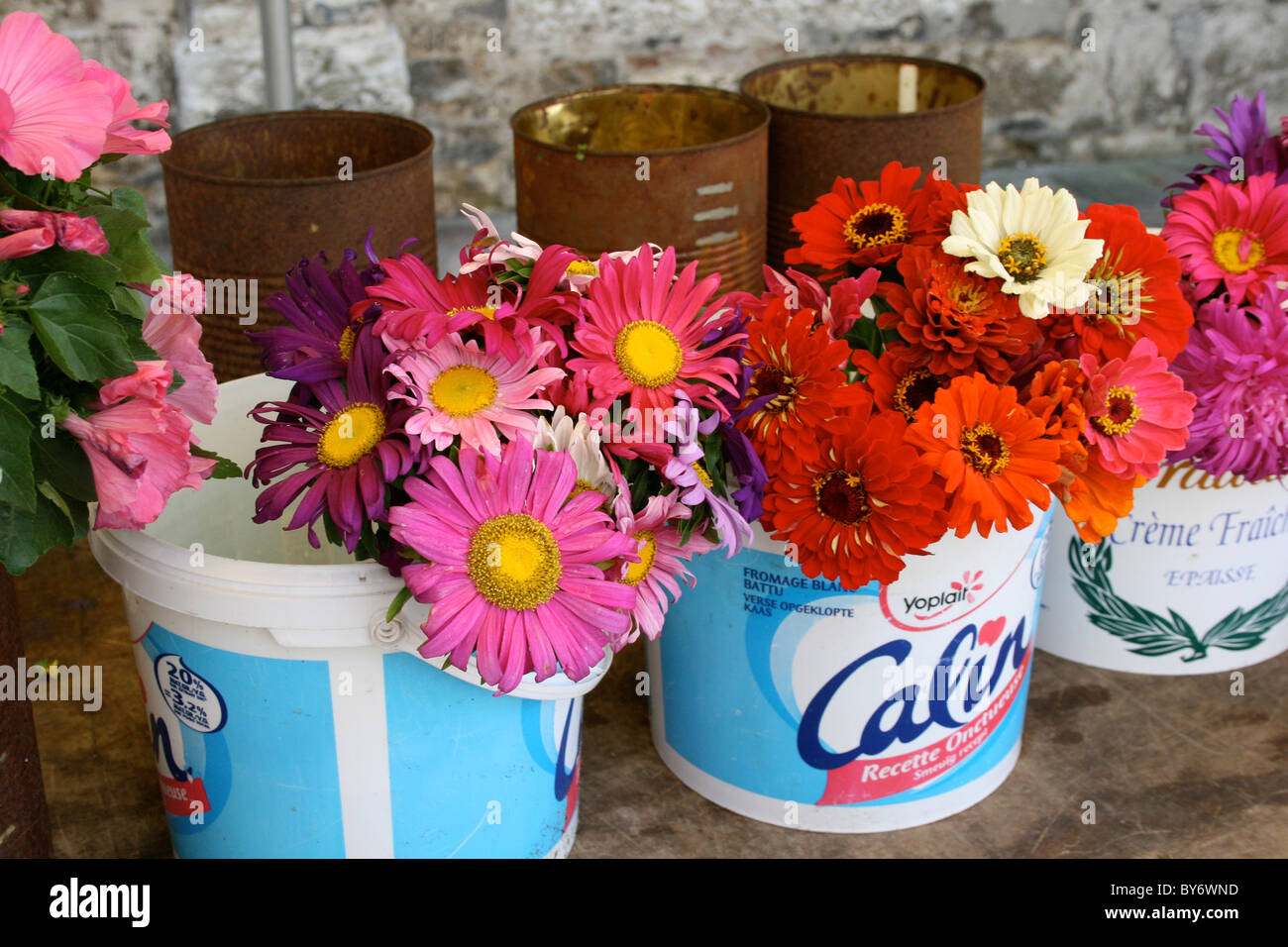 Blumen im französischen Markt Stockfoto