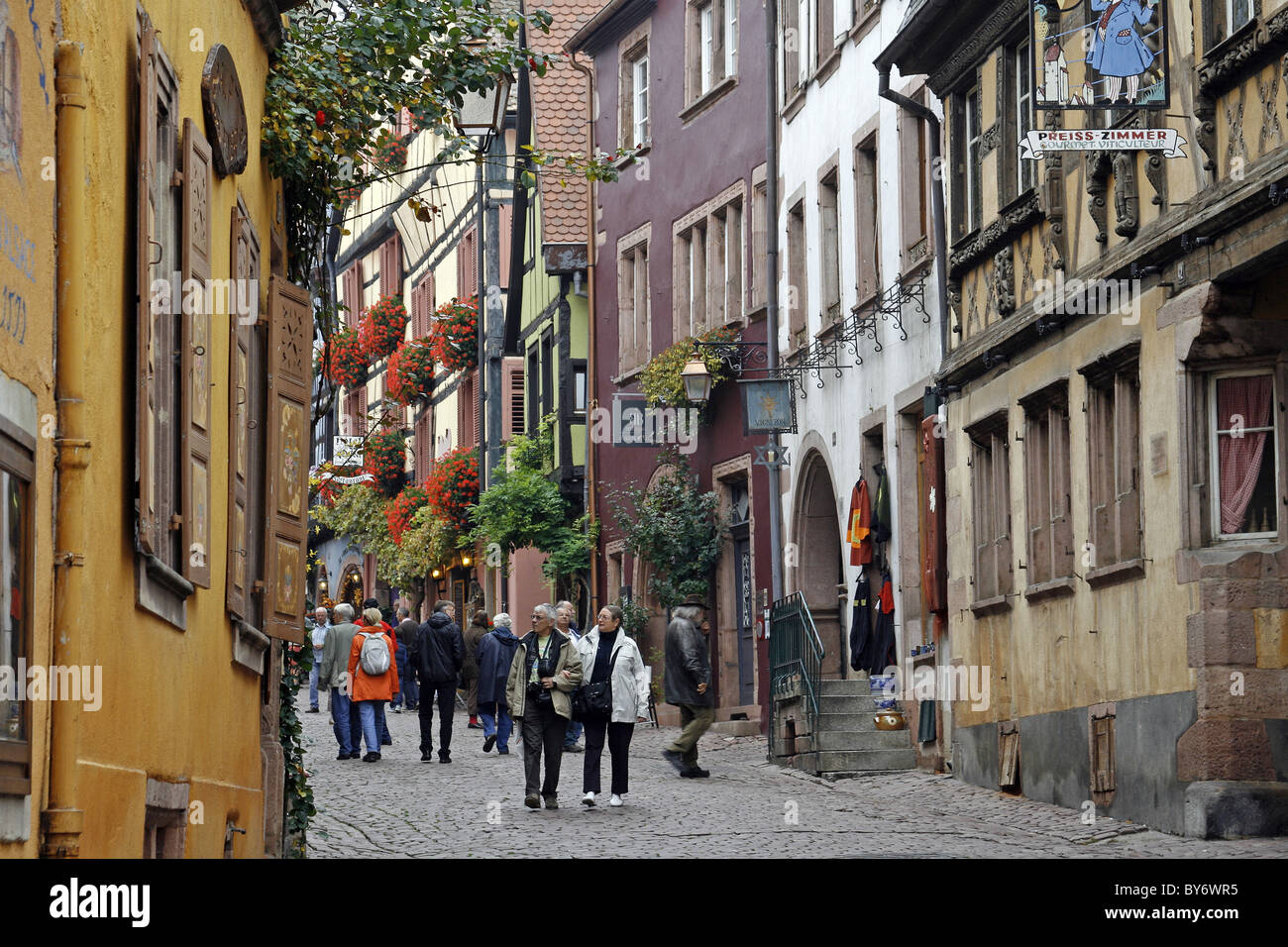 Alsace Weinstraße Stadt Riquewihr Frankreich Weinberg ernten Trauben Weinberg Surround-Stadt Straßenszene Restaurant café Stockfoto