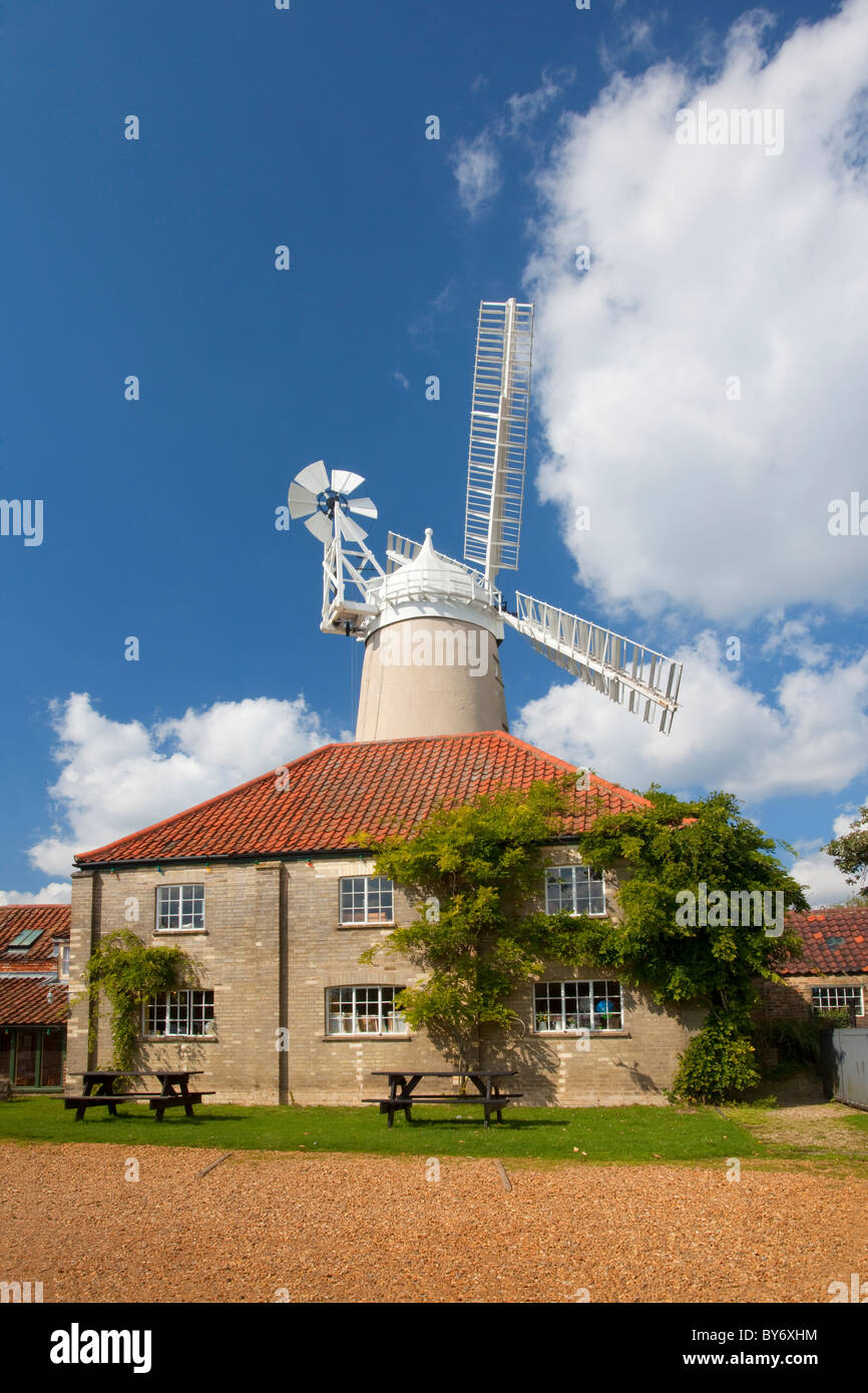 Denver-Windmühle in Norfolk an einem Sommertag Stockfoto