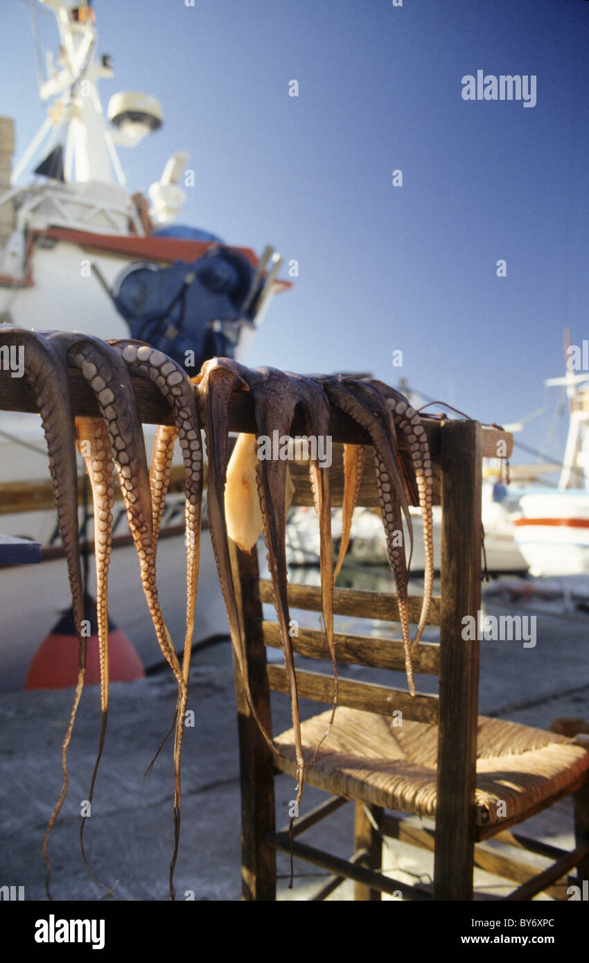 Calamari, trocknen in der Sonne getrockneten Tintenfisch, Naussa, Paros, Mittelmeer, Griechenland, Europa Stockfoto