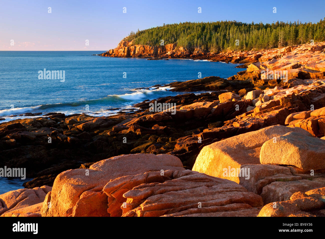 Am frühen Morgen im Otter Cliffs im Acadia National Park, Maine, USA Stockfoto