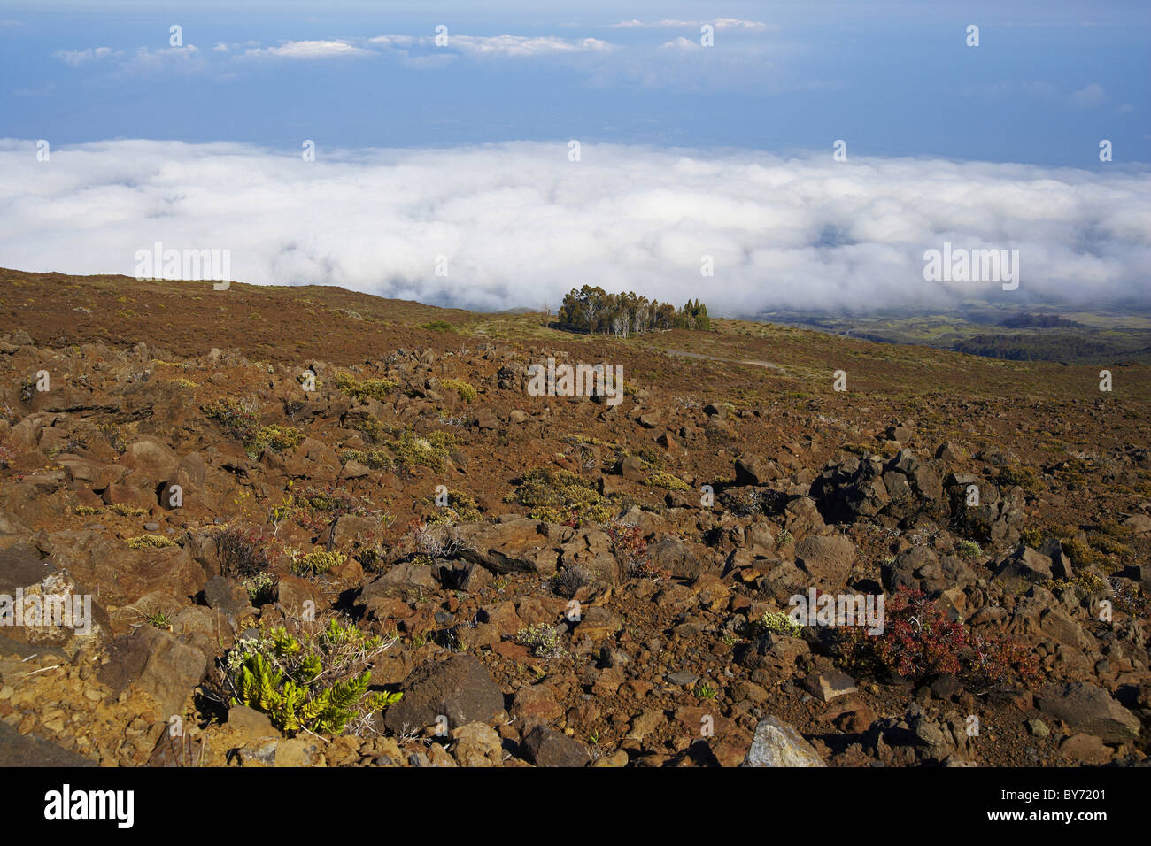Blick vom Haleakala Vulkan am Morgen, Leleiwi übersehen, Maui, Hawaii, USA, Amerika Stockfoto