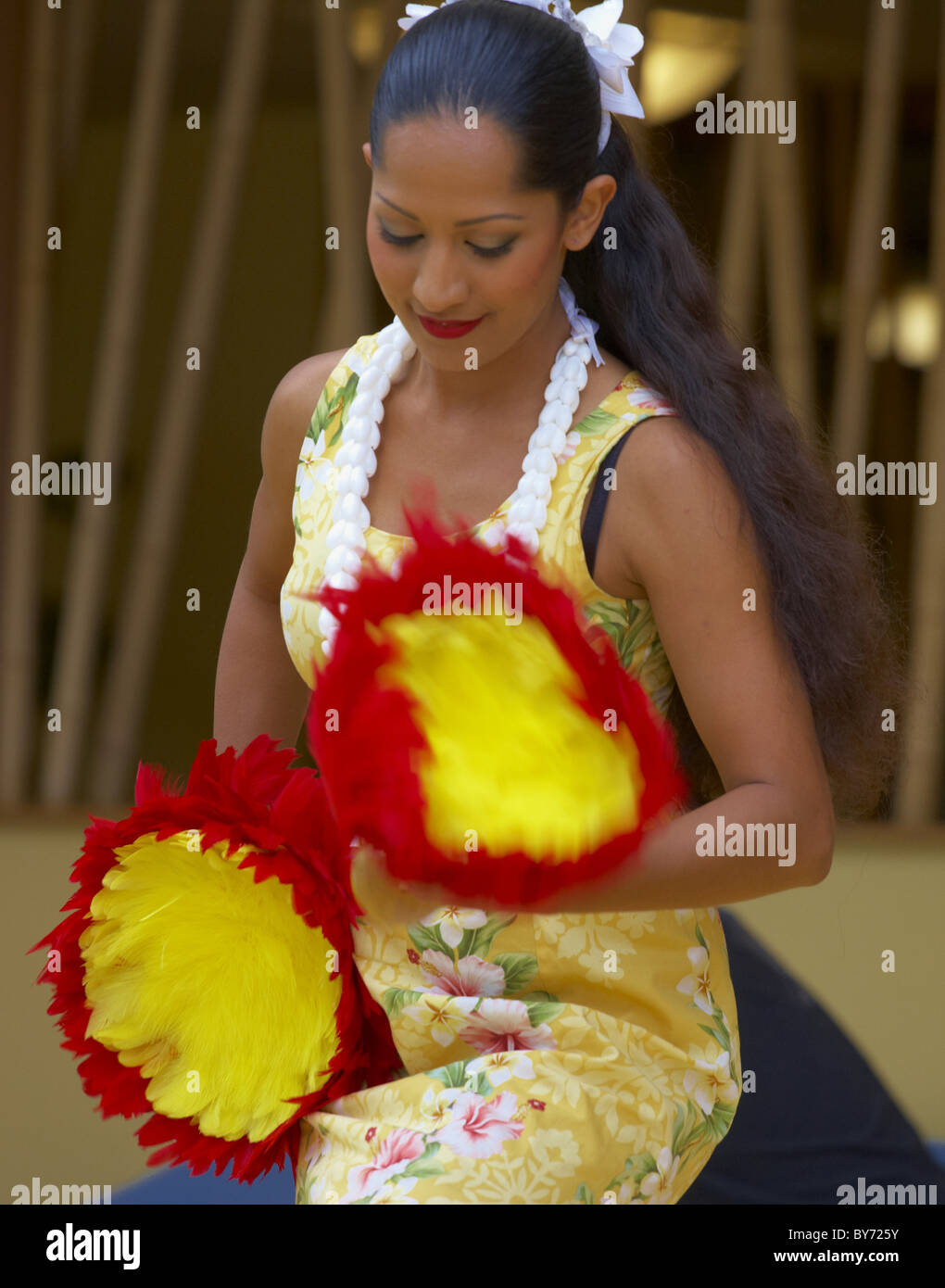 Lokale Frau tanzt Hula, Oahu, Hawaii, USA, Amerika Stockfoto